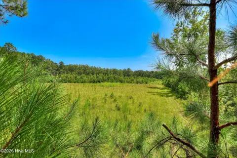 Hunting Land with Shop