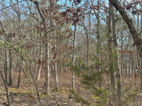 Vacant Land in Little Egg Harbor