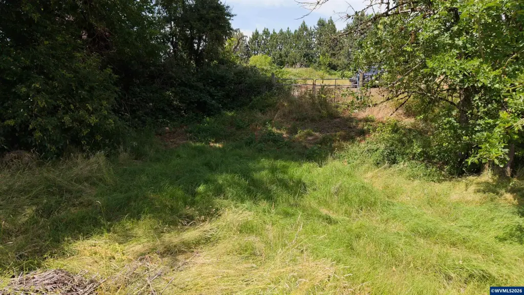 Picture 19