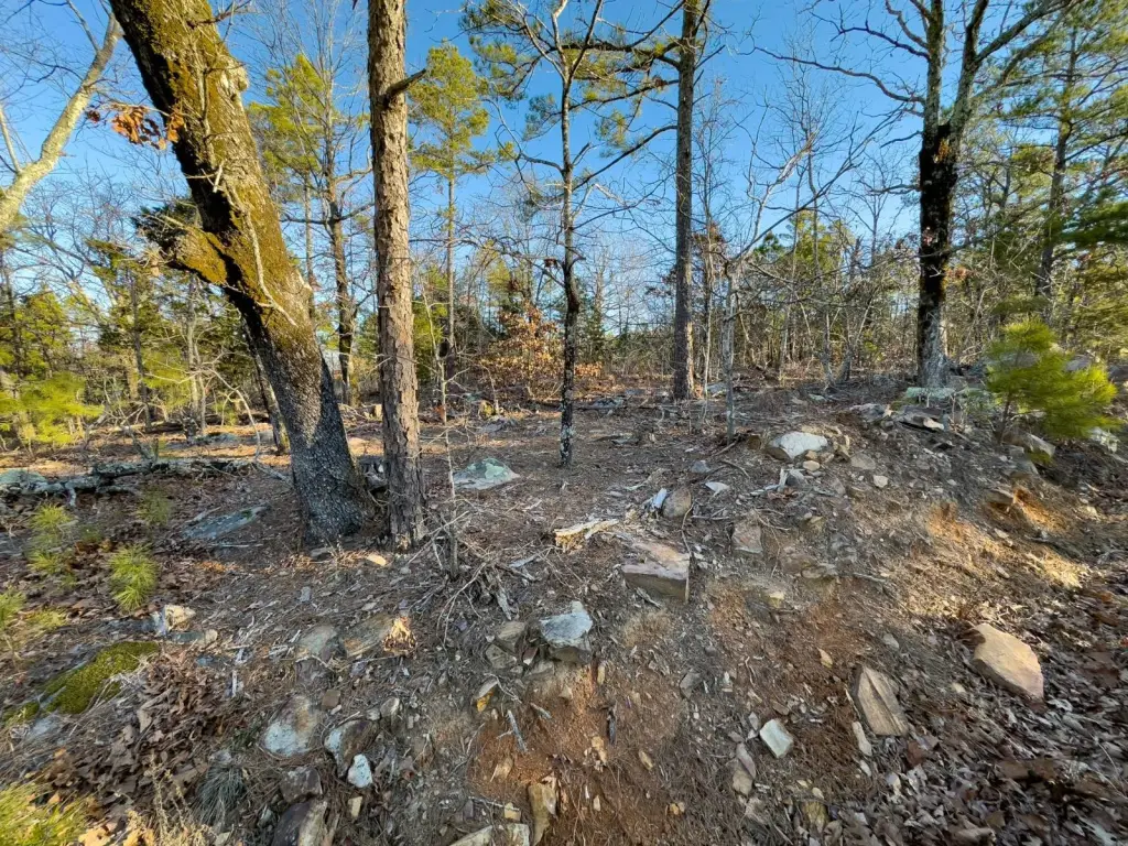 Picture 38