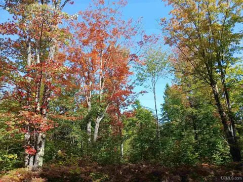 Michigan Wooded Parcel Near Houghton