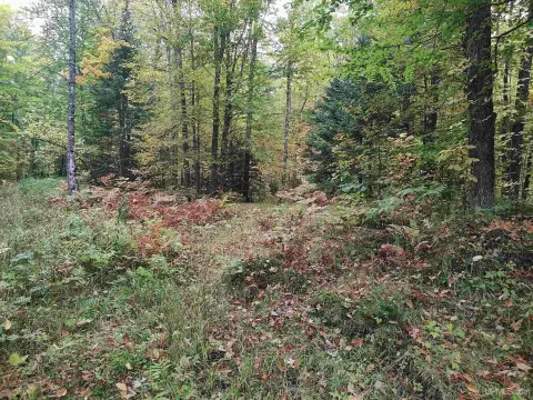 160 Acres of Recreational Land