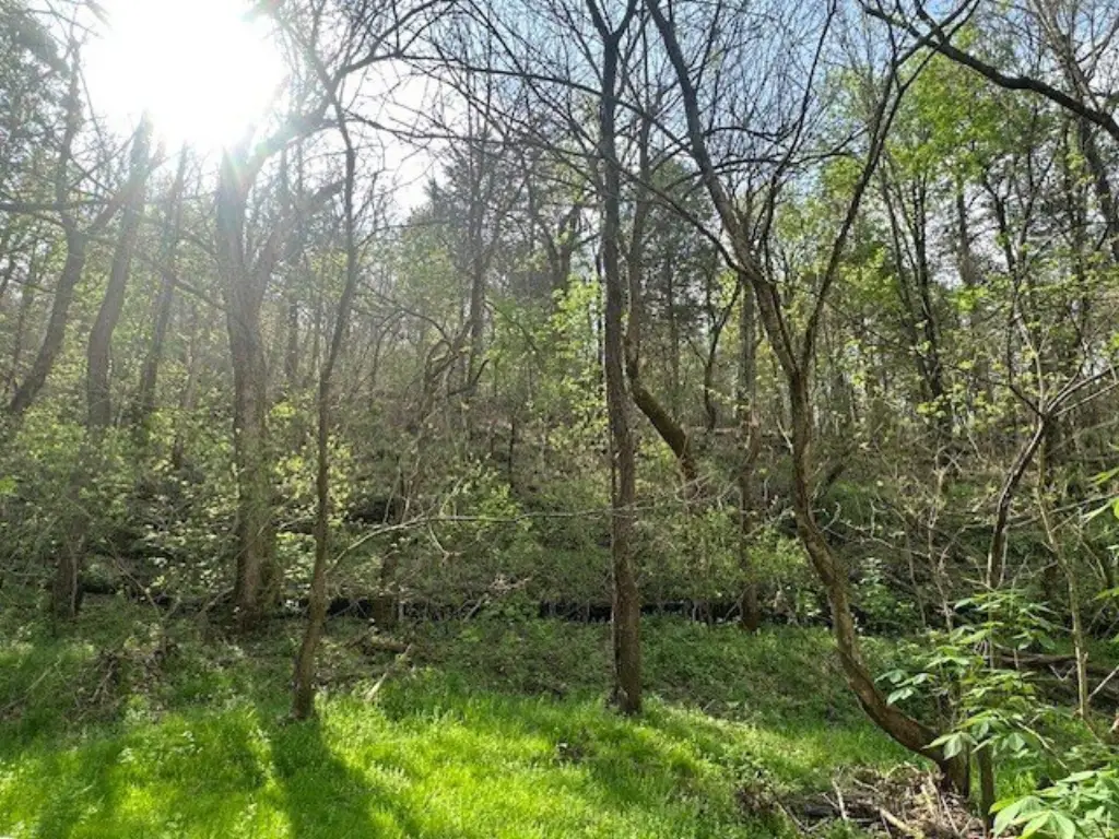 Picture 4