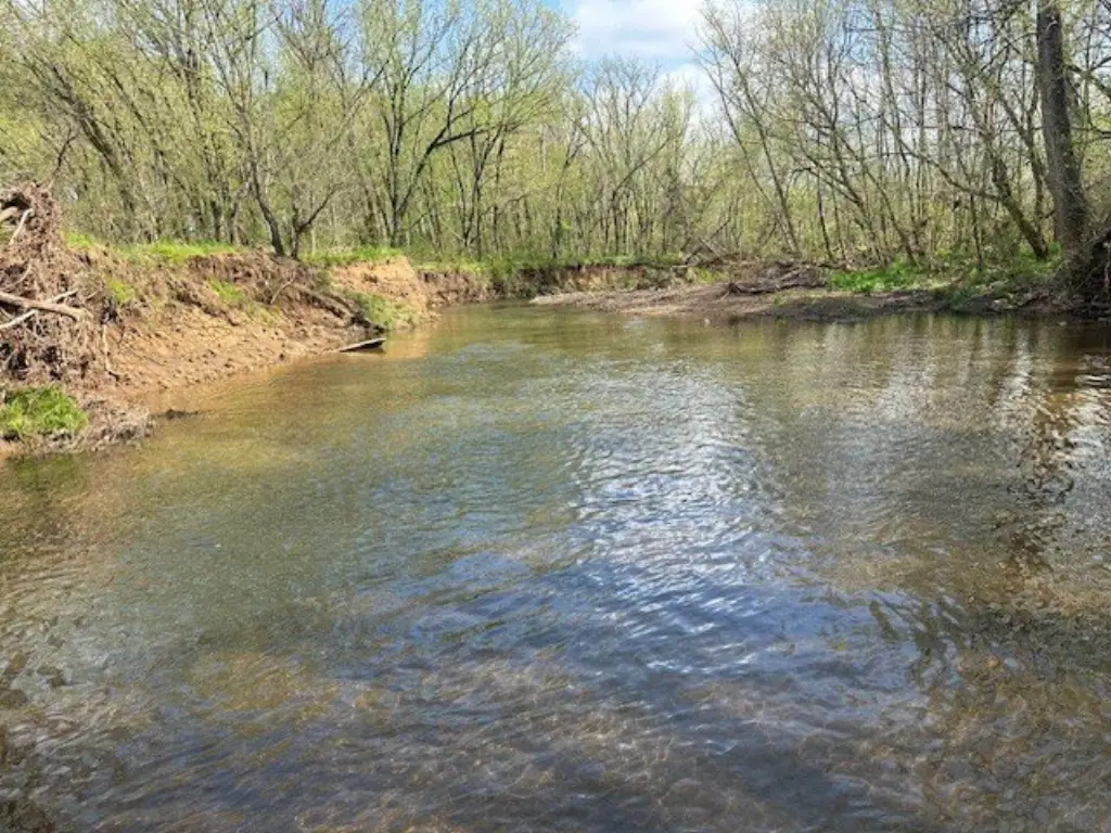 Picture 2