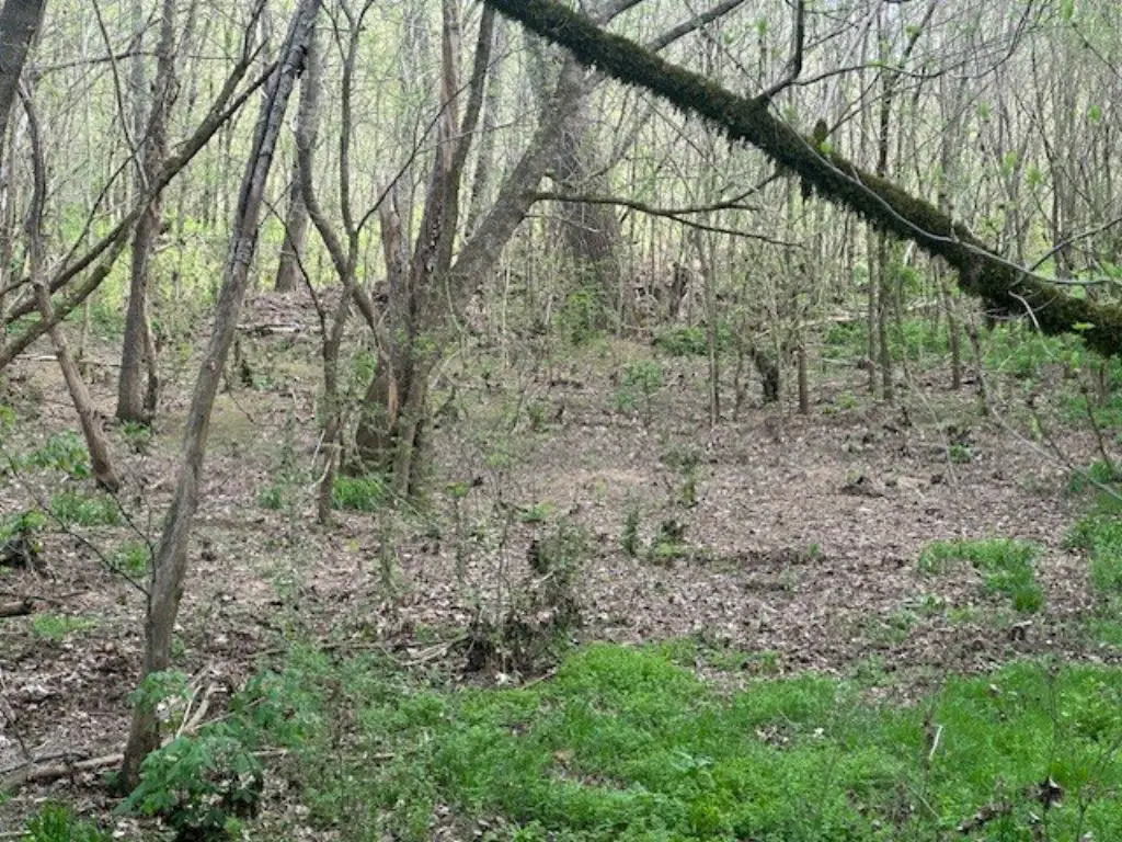 Picture 14