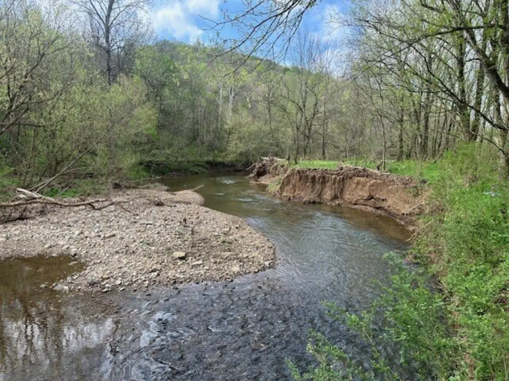 Picture 8