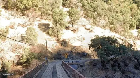 Forested Land in Nevada City