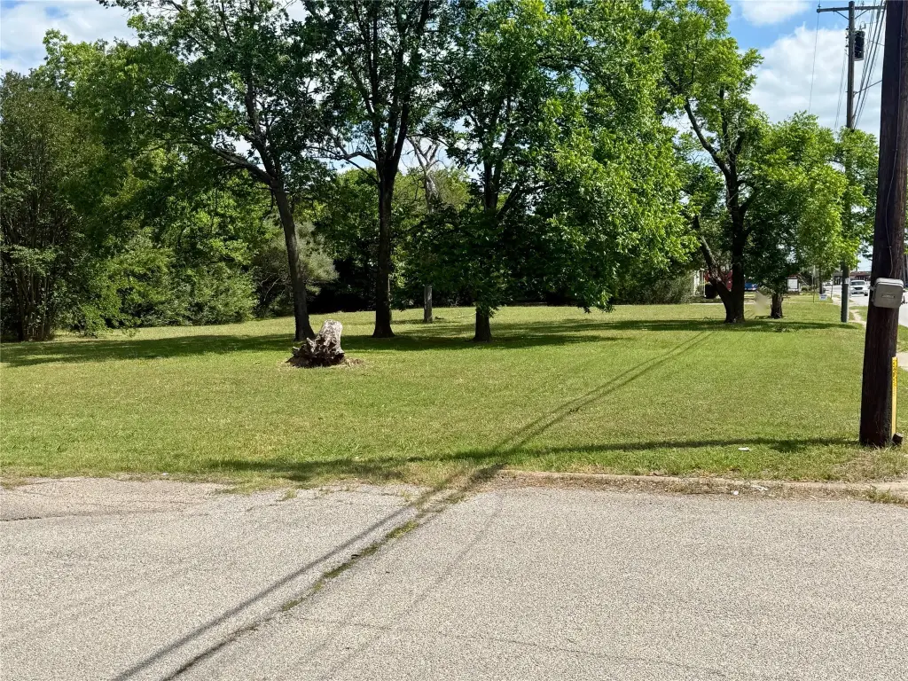 Picture 19