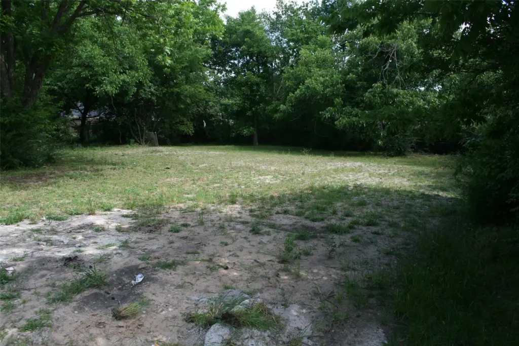 Picture 16