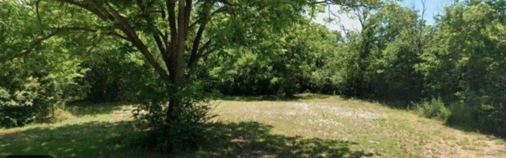 Picture 17