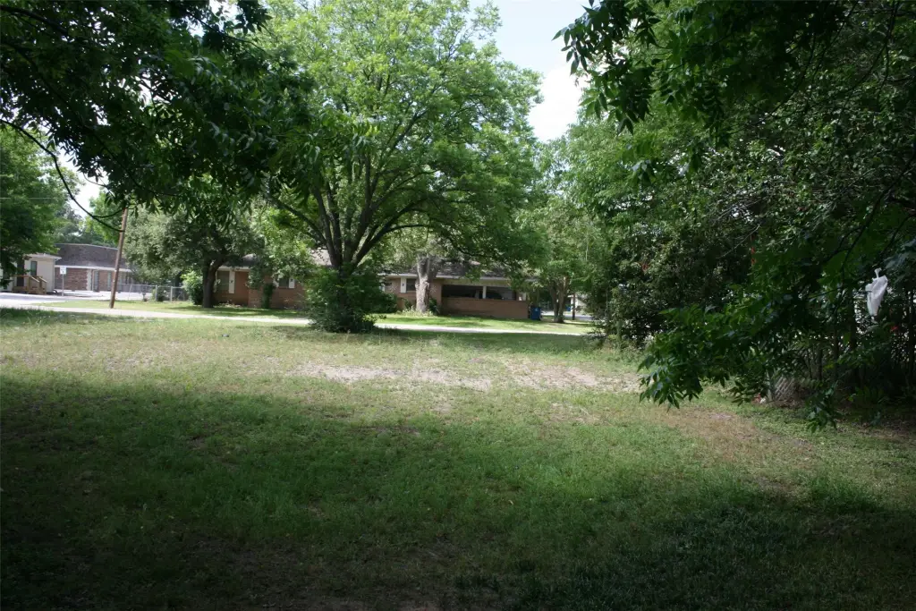 Picture 13