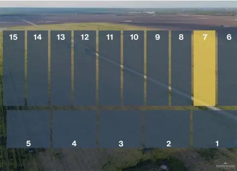 Edinburg 10-Acre Land Tract
