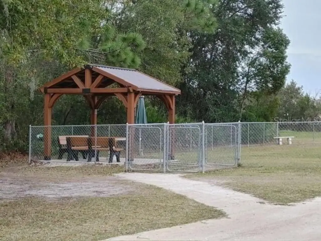 Picture 10