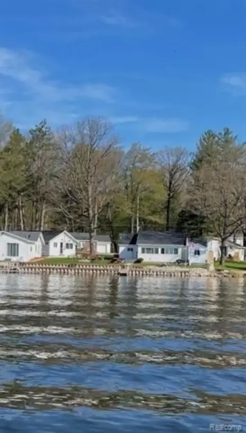 Waterfront Property with Four Cabins