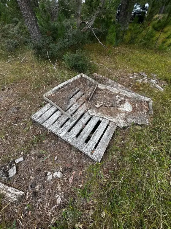 Picture 4