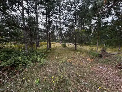 Wooded Lakeview Recreation Land