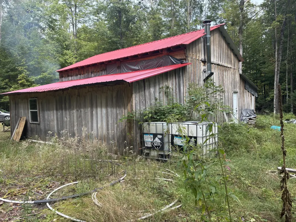 Picture 18
