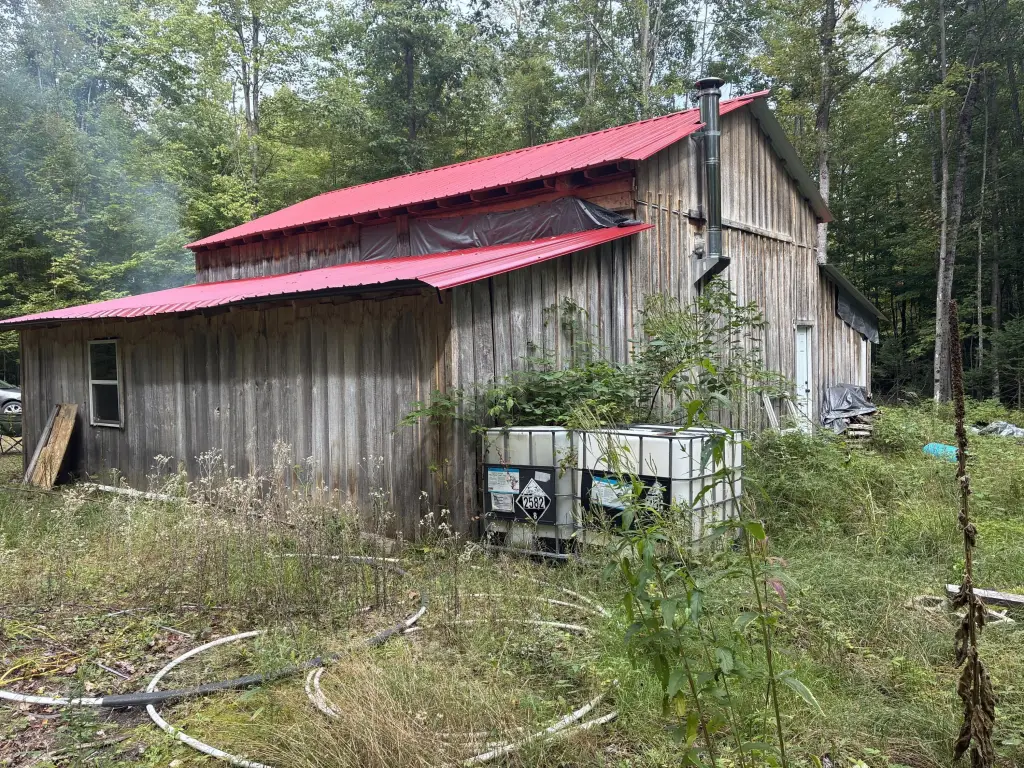 Picture 19