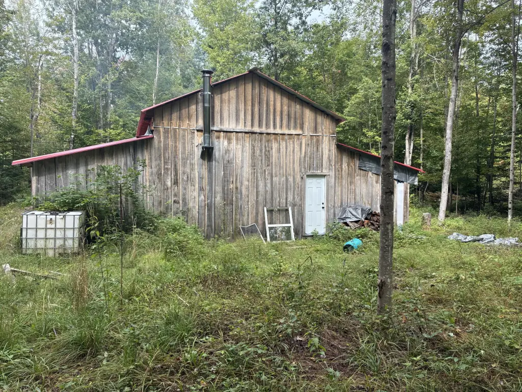 Picture 21