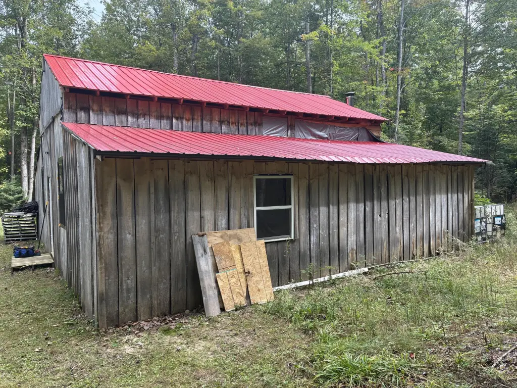 Picture 17