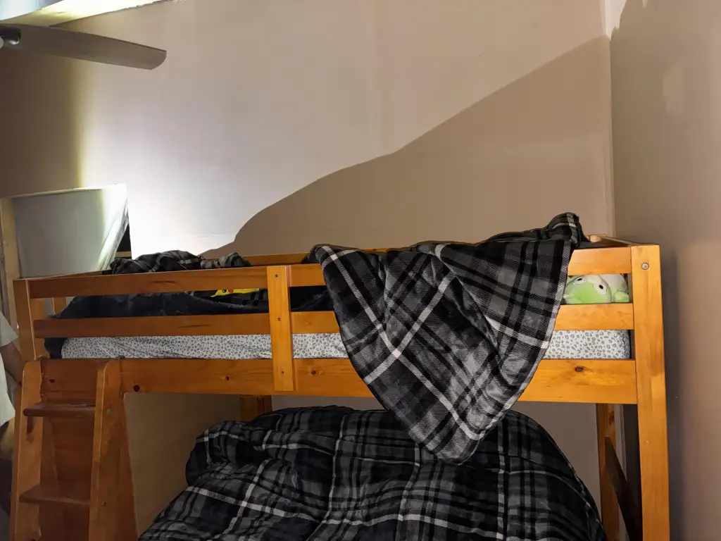 Picture 37