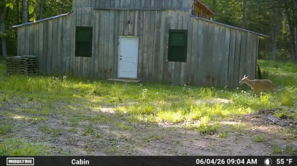 Picture 14