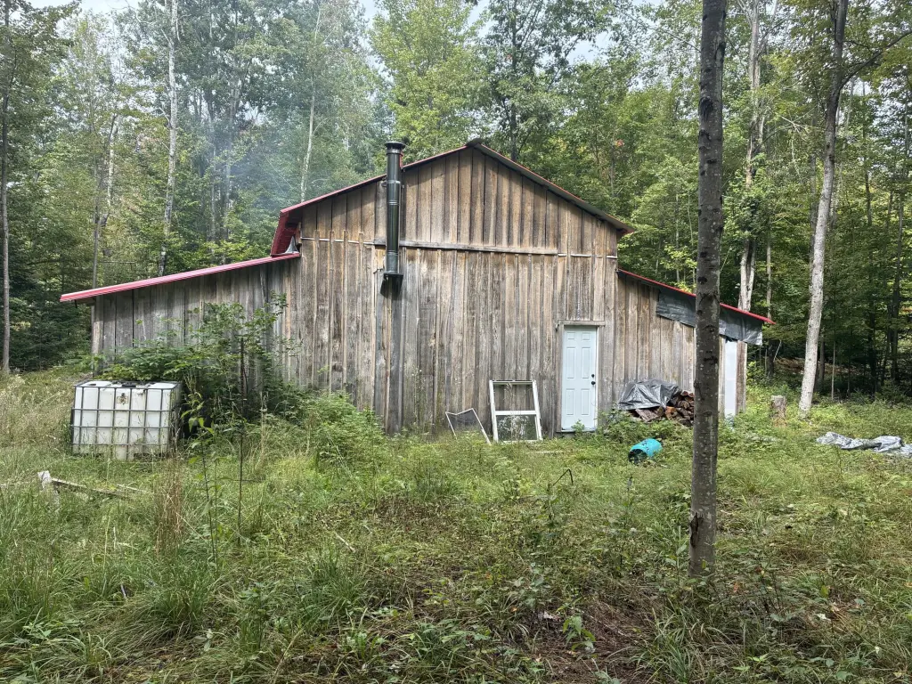 Picture 20