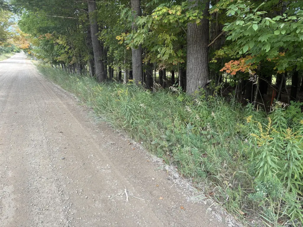 Picture 11