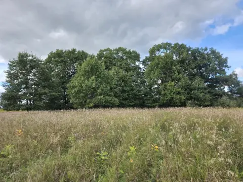 Agricultural Land with Apple Trees