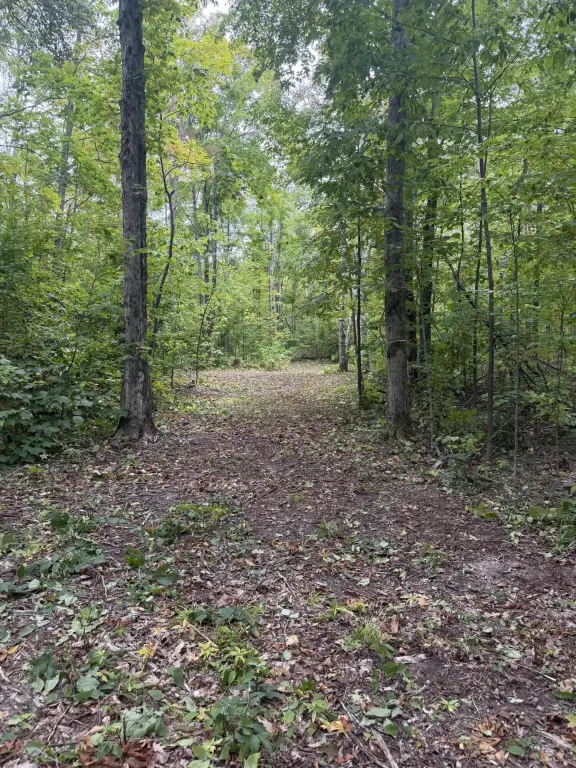 Picture 11
