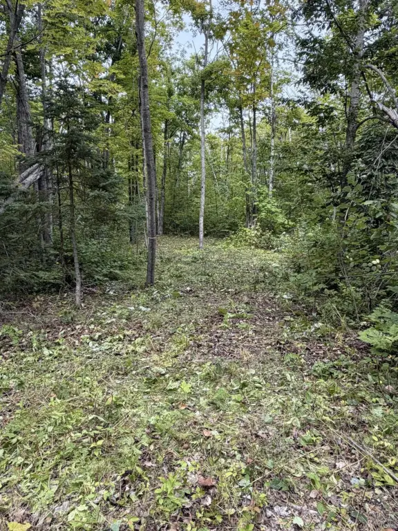 Picture 12