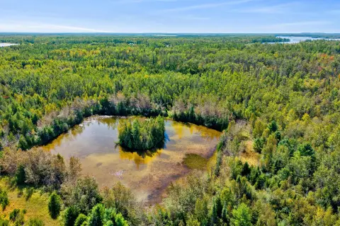 Recreational Hunting Land with Pond