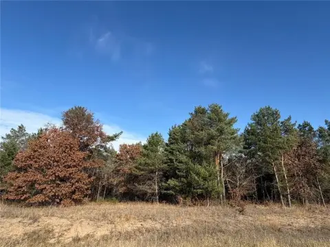 Orrock Twp Wooded Lot