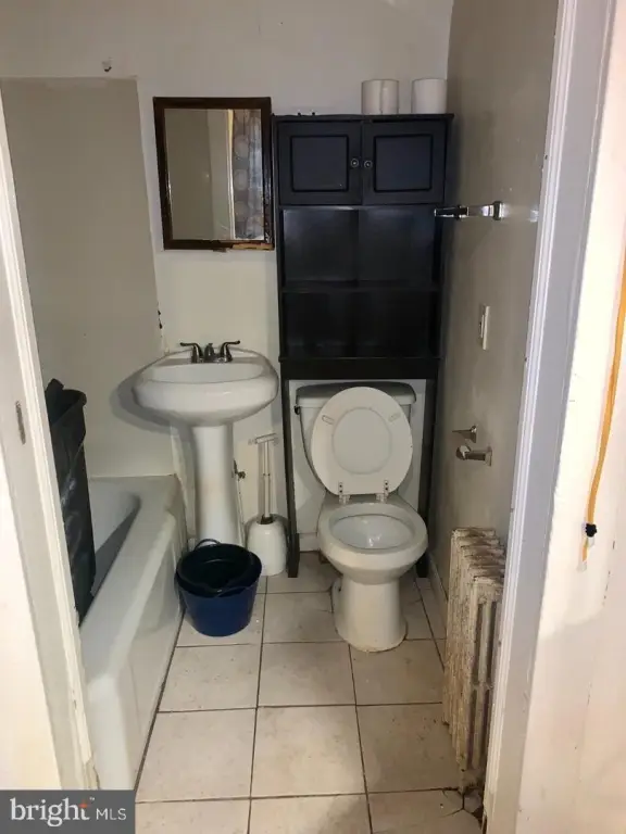 Picture 16
