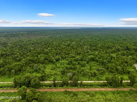 60 Acres Hunting/Recreational Land, Belhaven, NC