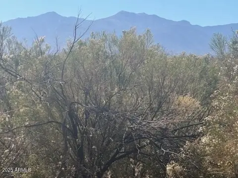 Sierra Vista Commercial Land Parcel