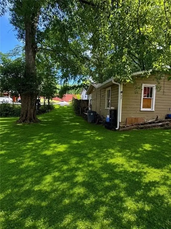 Picture 5