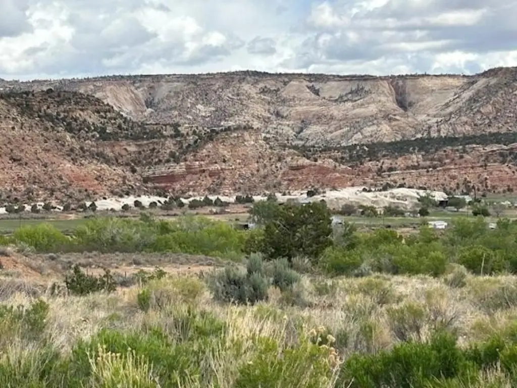Picture 8