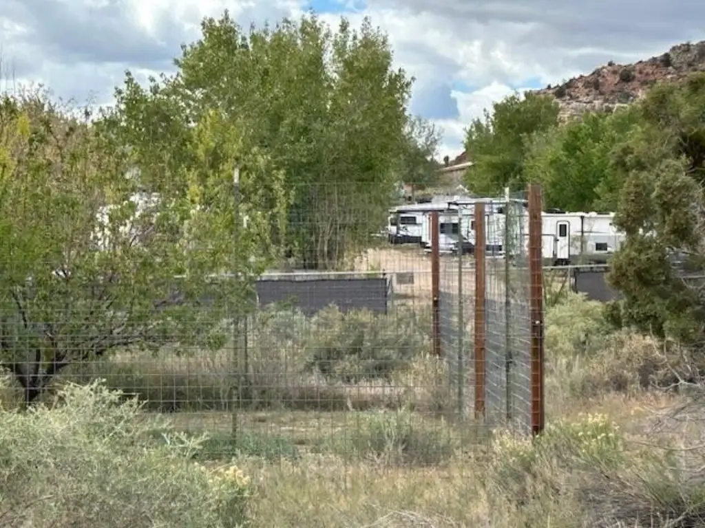 Picture 6