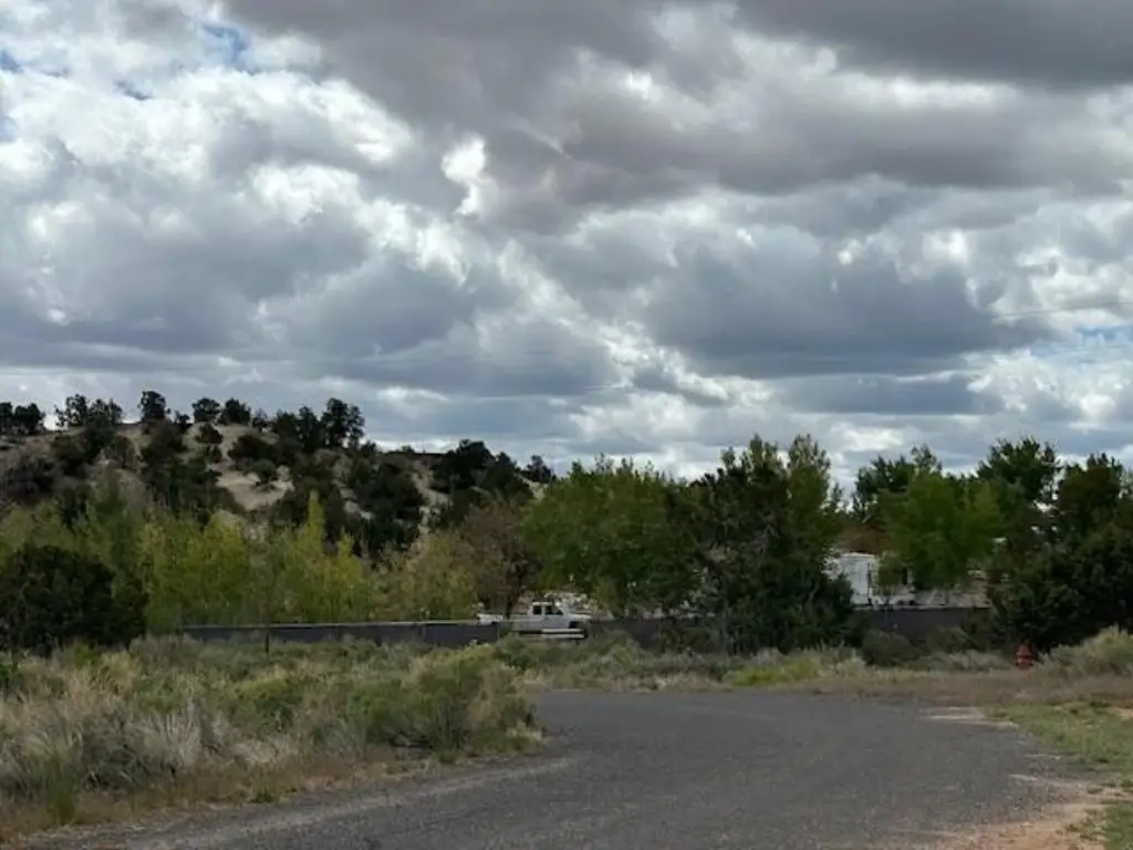 Picture 3