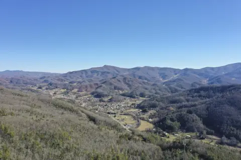 Roan Mountain Land for Sale