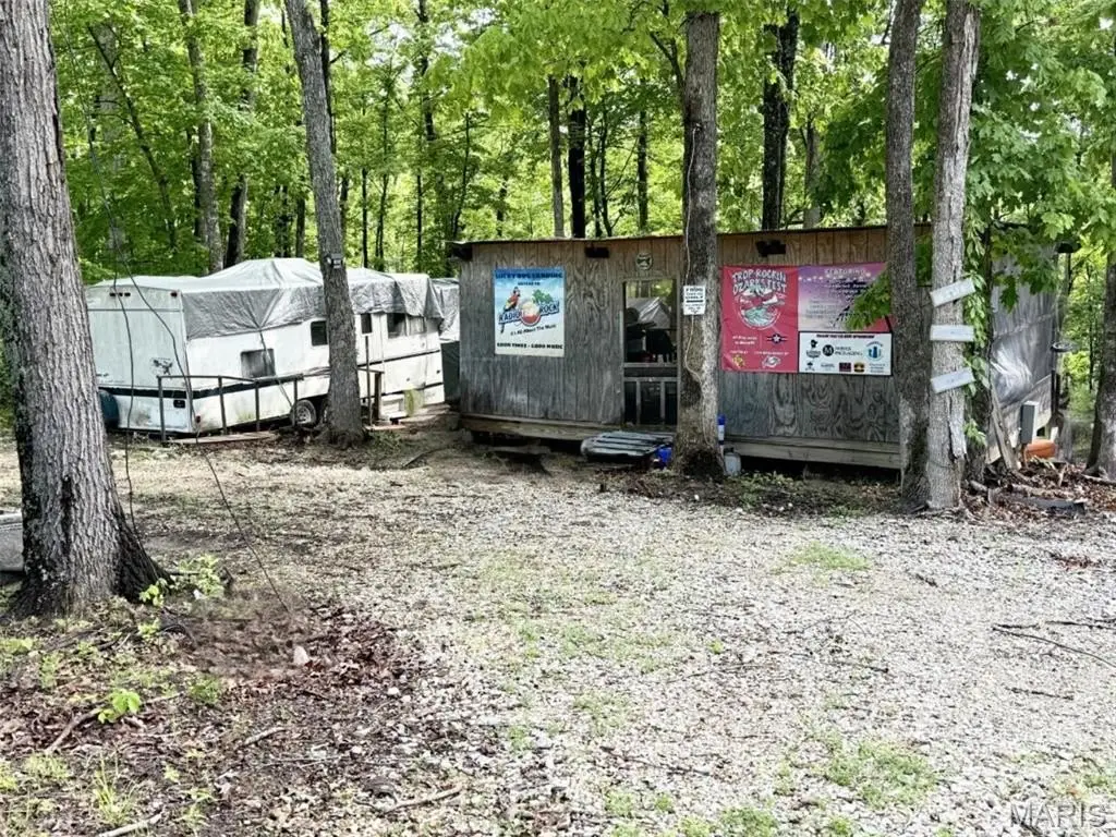 Picture 5