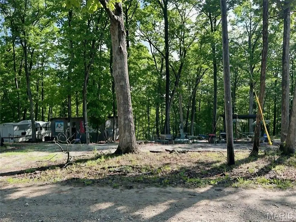 Picture 4