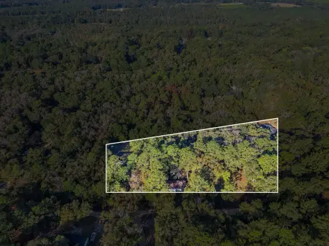 Wooded Lot in Tallahassee, FL