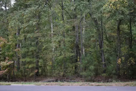 Wooded Lot in Magnolia, AR