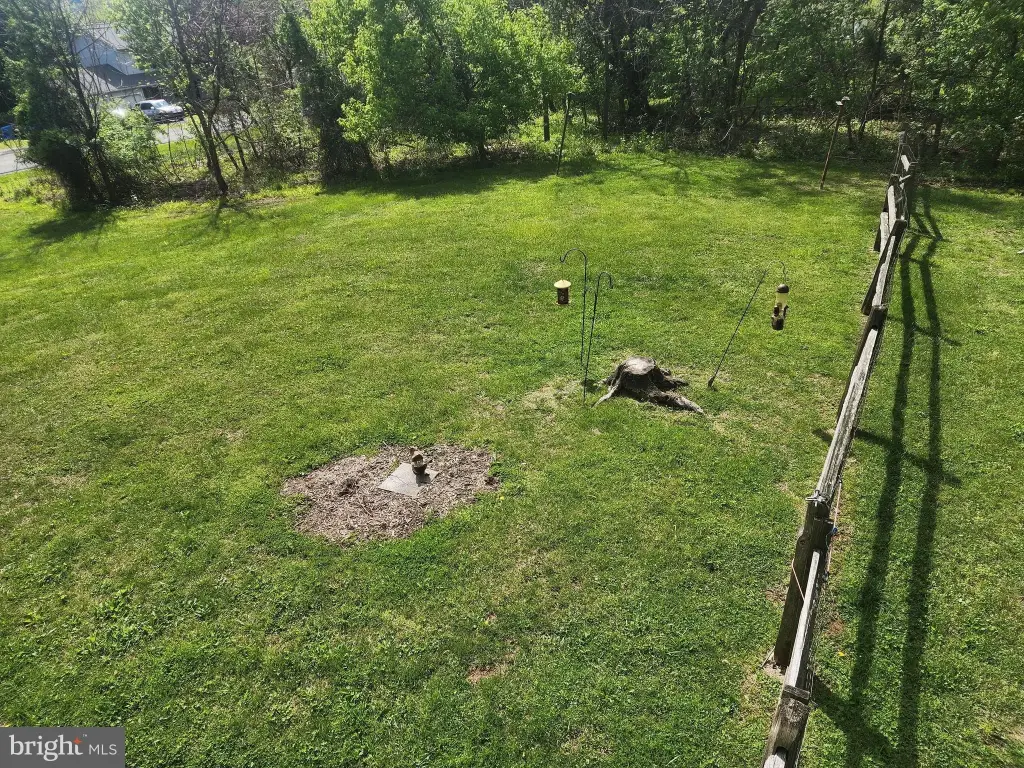 Picture 25