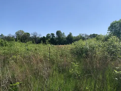 Rayville Land Near Meta AI