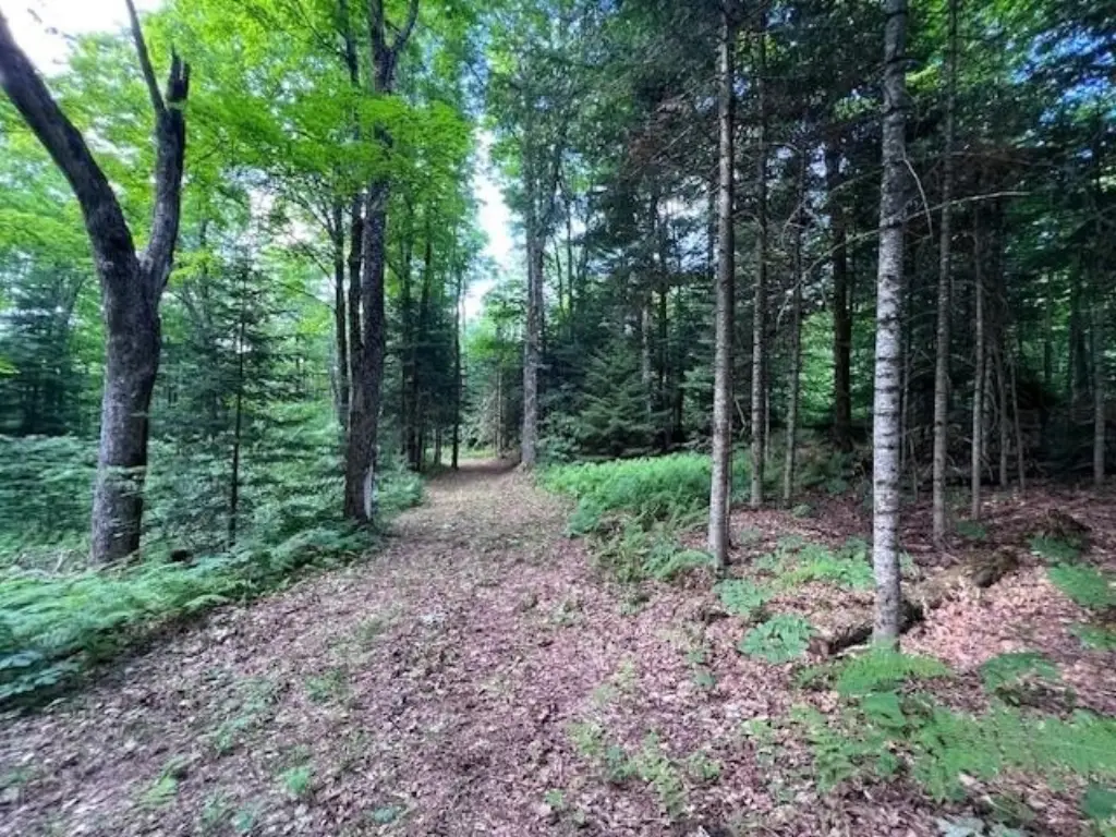 Picture 22