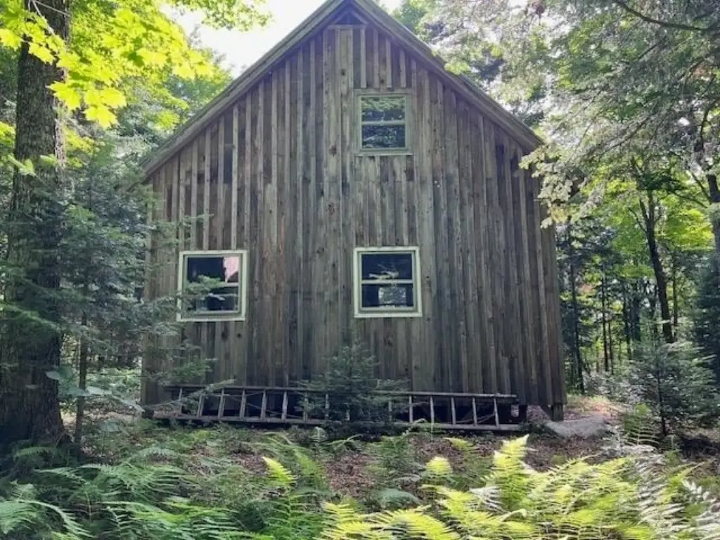 Picture 6