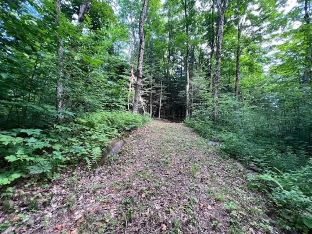 Picture 23